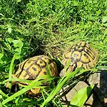 Apartamento Haus Leitner