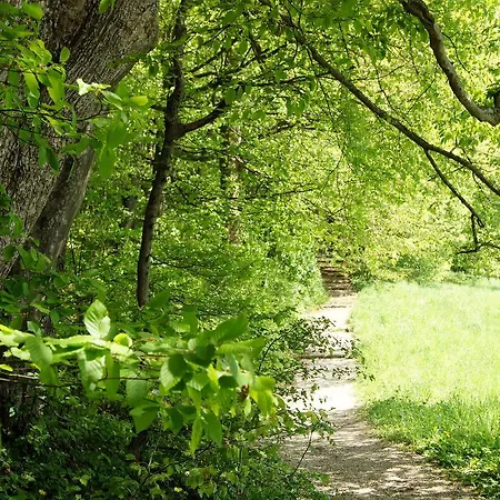 Haus Leitner Appartement Attersee