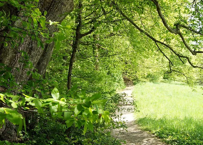 Haus Leitner Daire Attersee