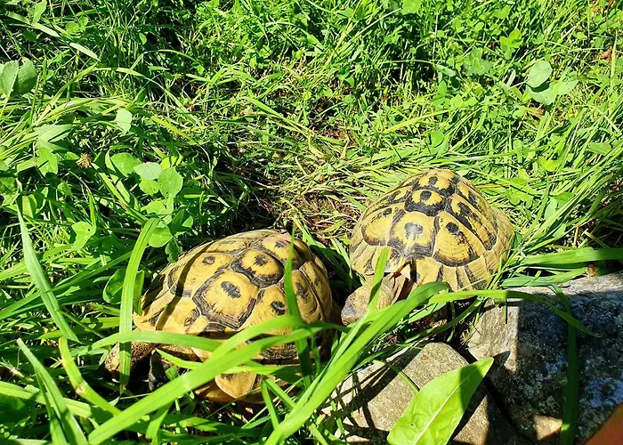 Apartmán Haus Leitner